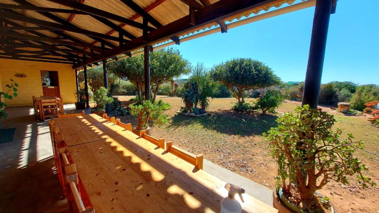 Kudu Ridge Game Lodge Addo Luaran gambar