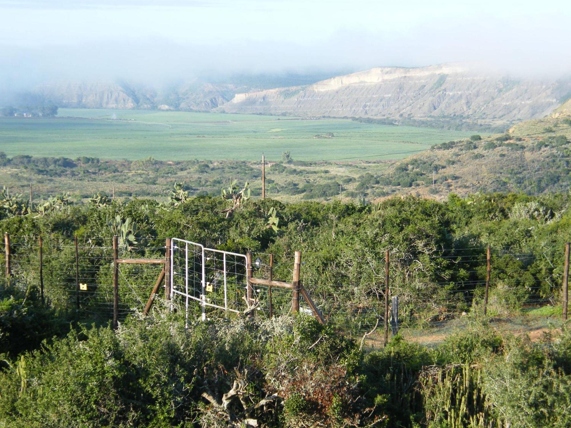 Kudu Ridge Game Lodge Addo Luaran gambar